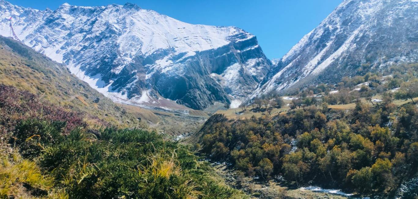 hotels in sangla Valley