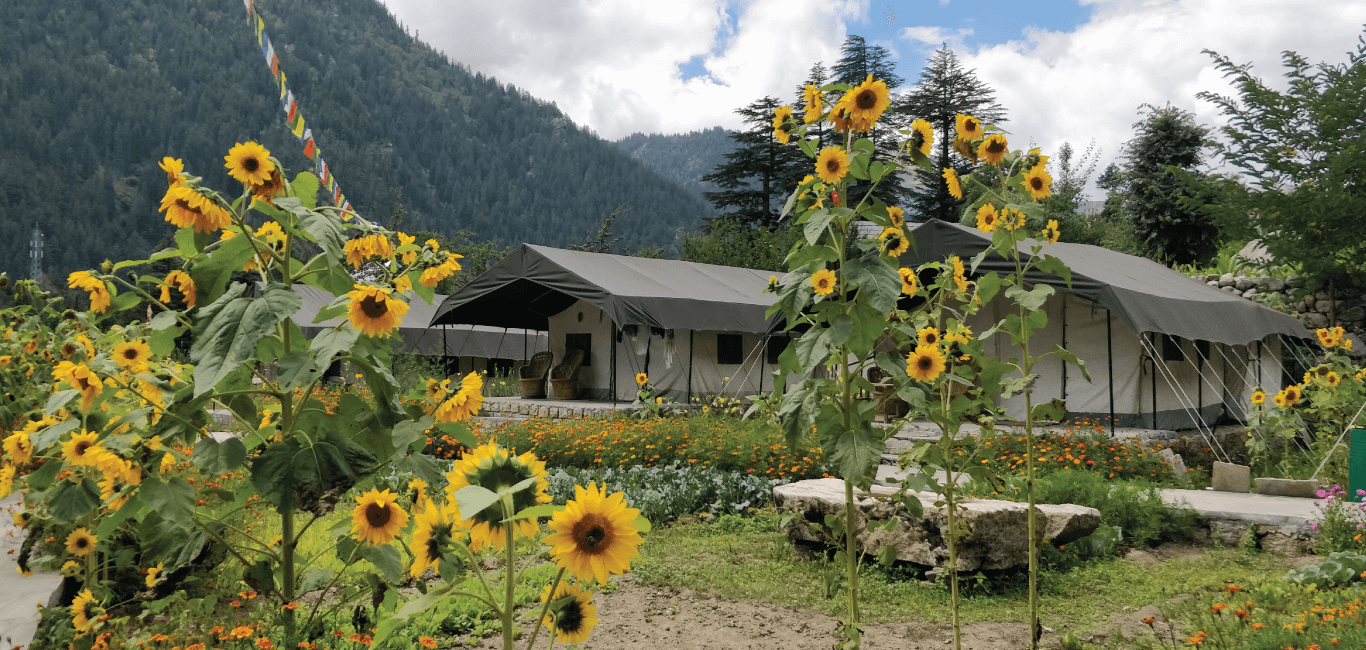 hotels in sangla Valley