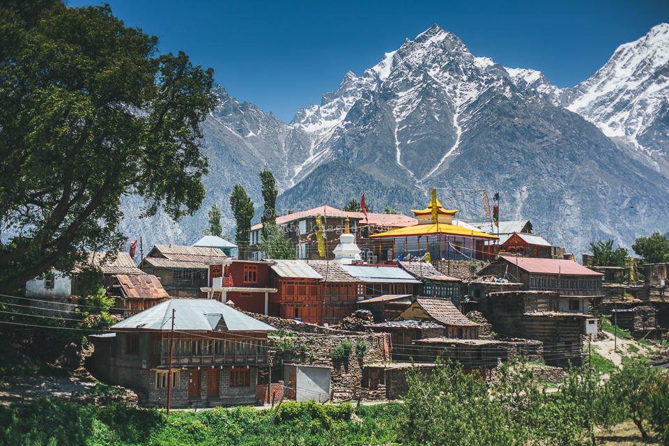 tour operators kinnaur